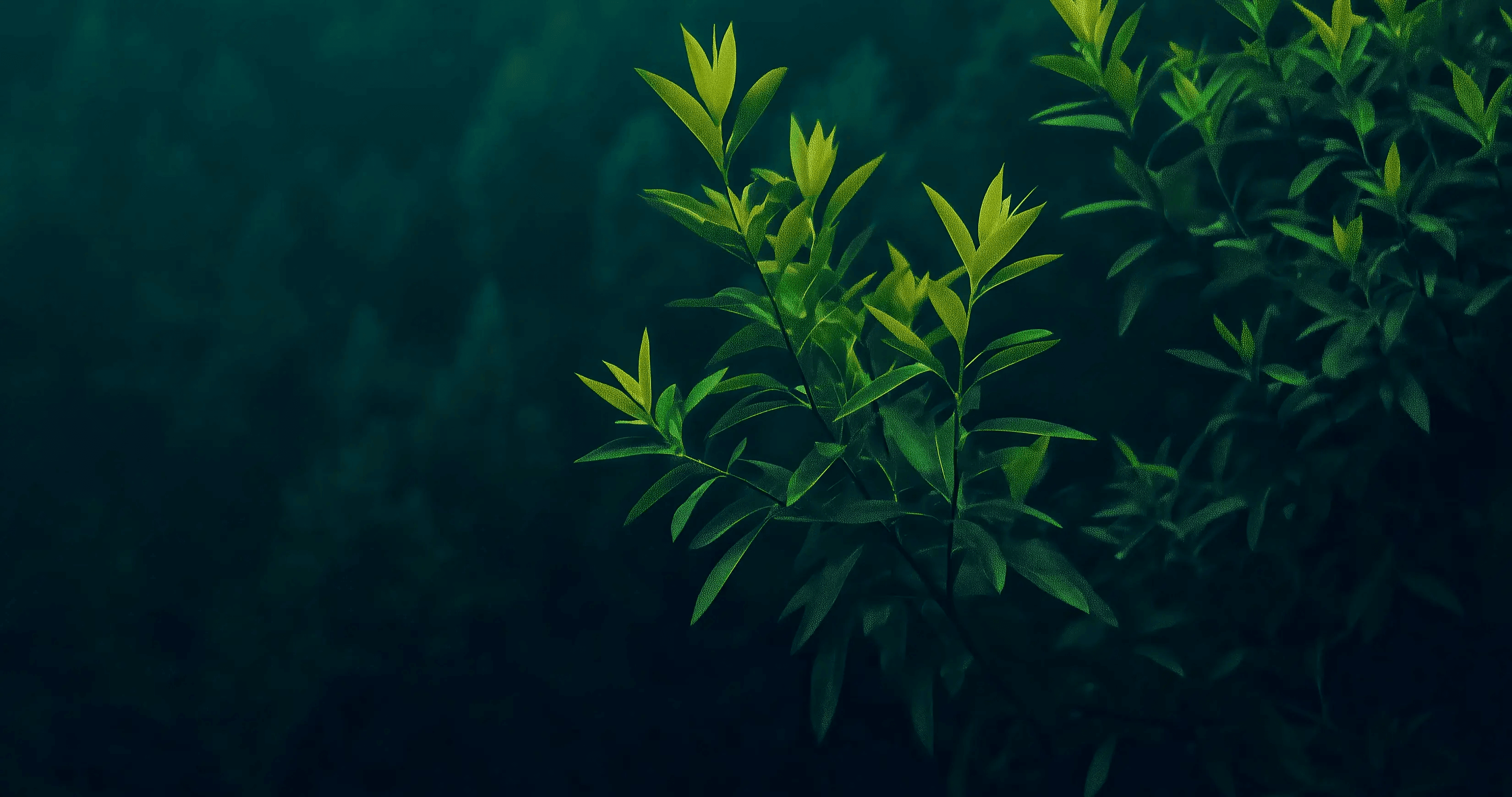 About page hero background